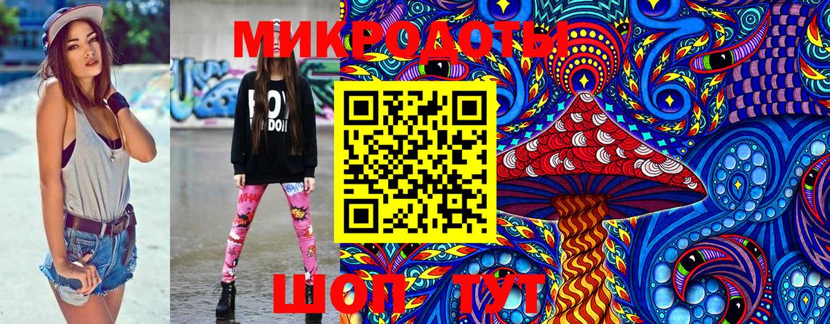 Галлюциногенные грибы Psilocybine cubensis  Галлюциногенные грибы Psilocybe  Выборг  Вход с VPN 