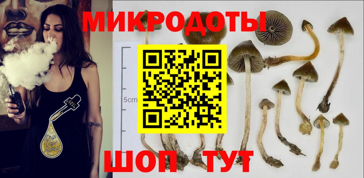 Галлюциногенные грибы MAGIC MUSHROOMS Выборг